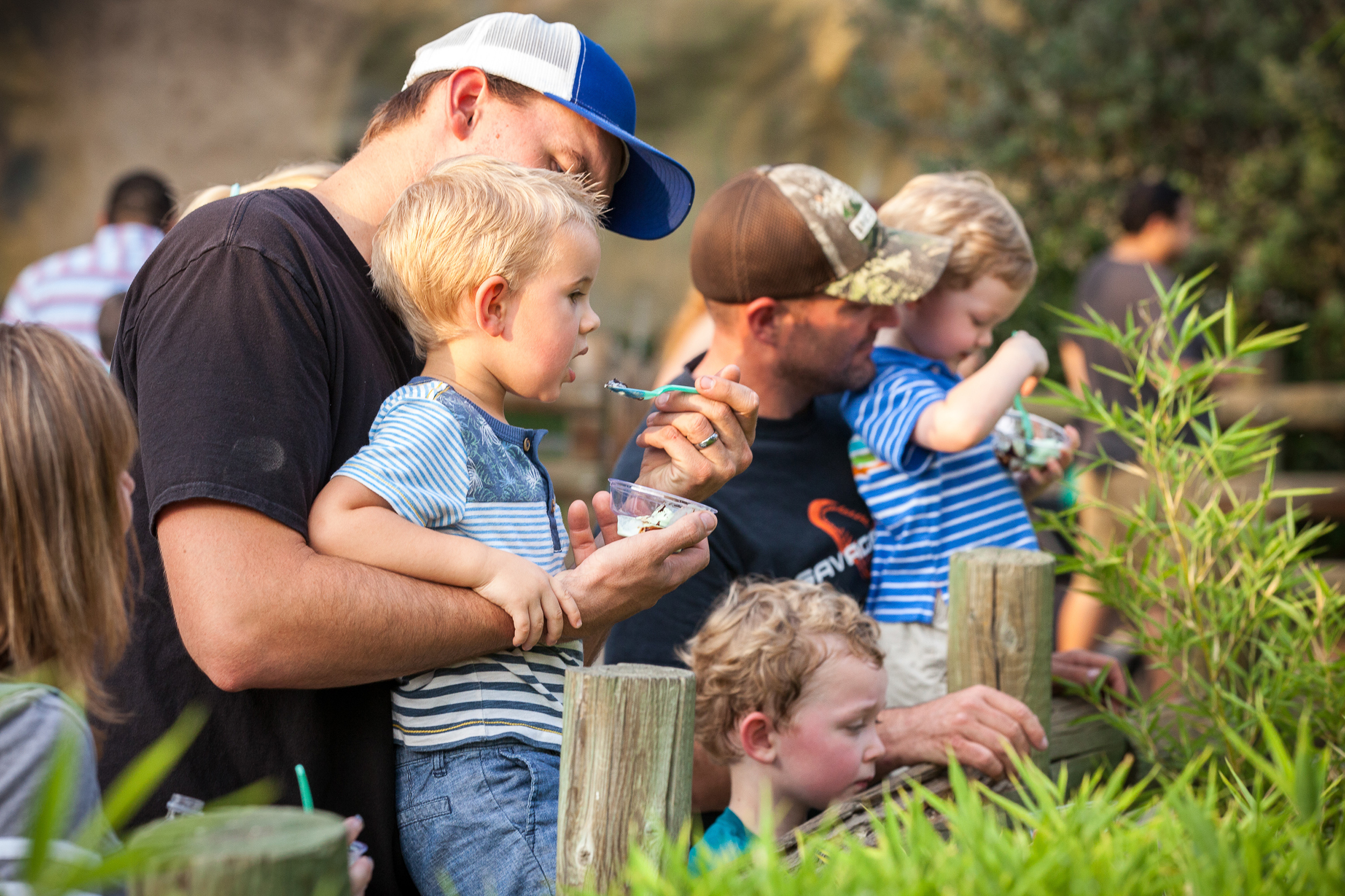 A father feeding his son ice cream at Producers Dairy Zoofari event.