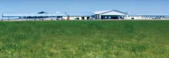 2008